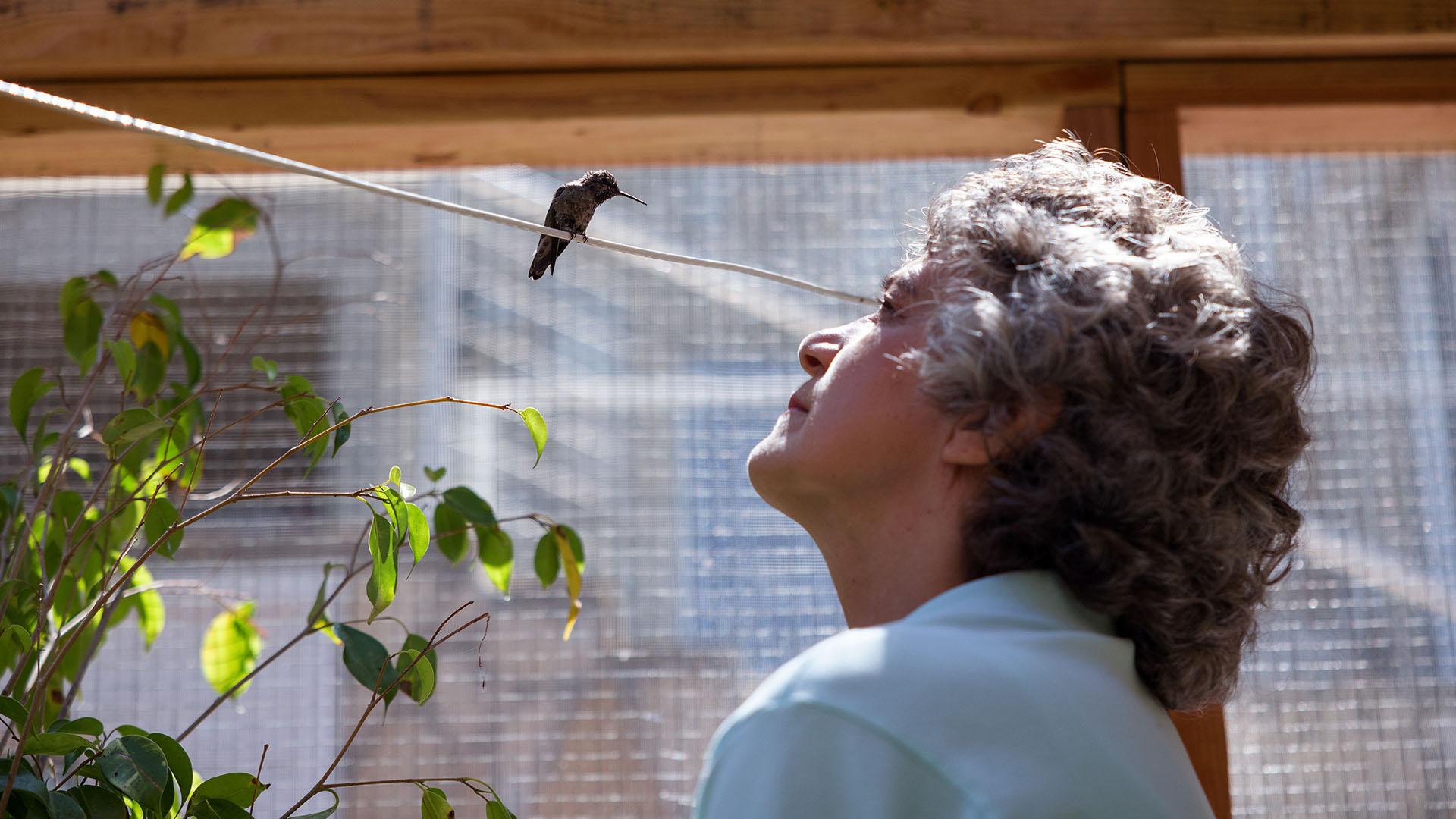 Watch: Sally Aitken&rsquo;s 'Every Little Thing' Heals More Than Just Hummingbirds